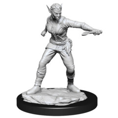 D&D Nolzur's Marvelous Miniatures: Shifter Rogue Female (Wave 13)